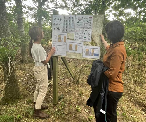 TIAH held its most recent team meeting at the Allerton Project.