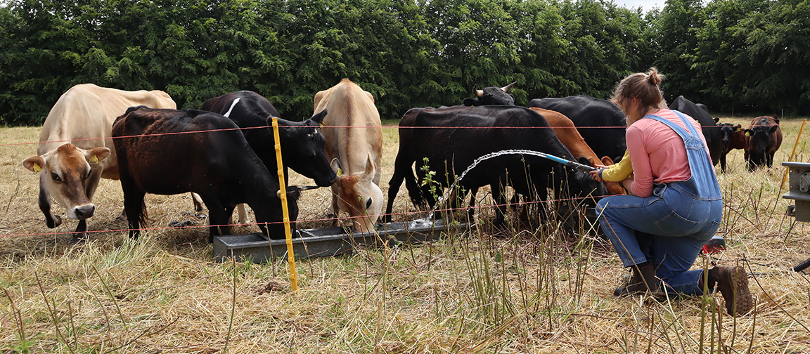 Chloe is keen to make sure her young children experience a lot of the realities of farming too, saying it helps them build their own emotional resilience, too.